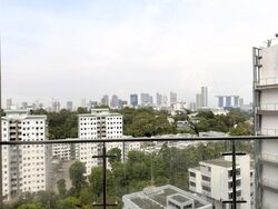 RESIDENCES AT EMERALD HILL (D9), Apartment #632405521